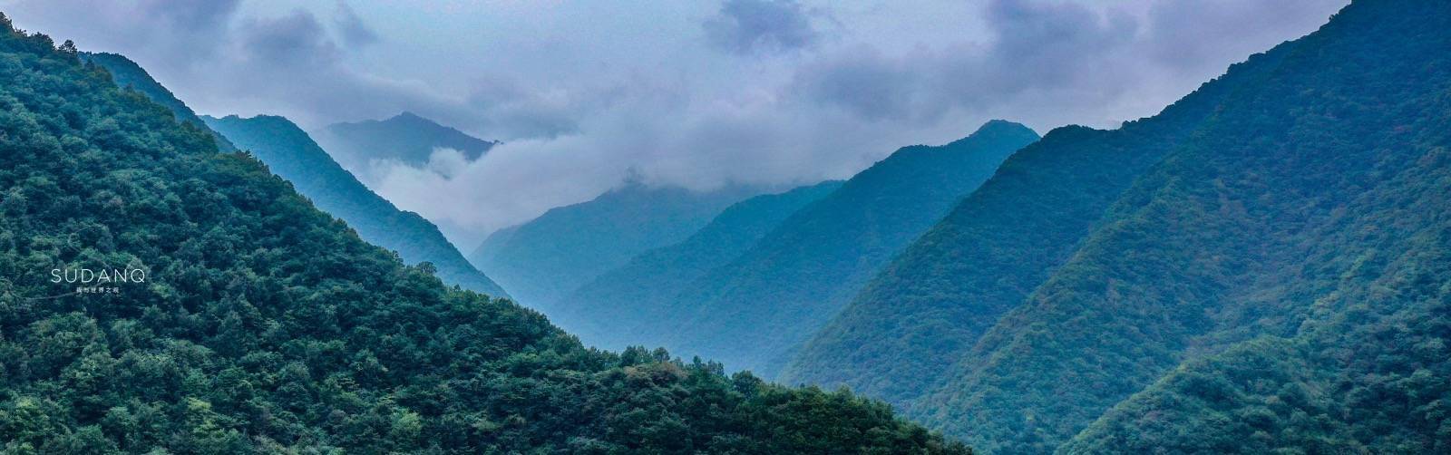 秦岭为何被尊为“中华龙脉”：走进世界最大植物园，大自然之敬畏