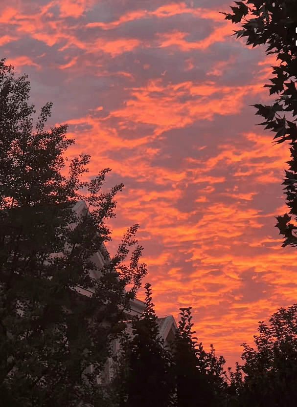 感觉好久没有看到过夕阳了,好美的夕阳,刘耀文也如同风景了,夕阳和