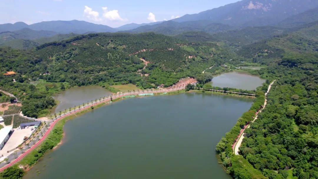 东山公园_罗浮山_水库