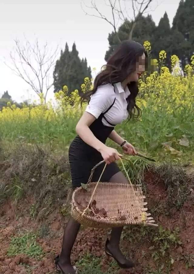 ΪAIˢ⣬Natureȶ·汻ݼģͿѧ