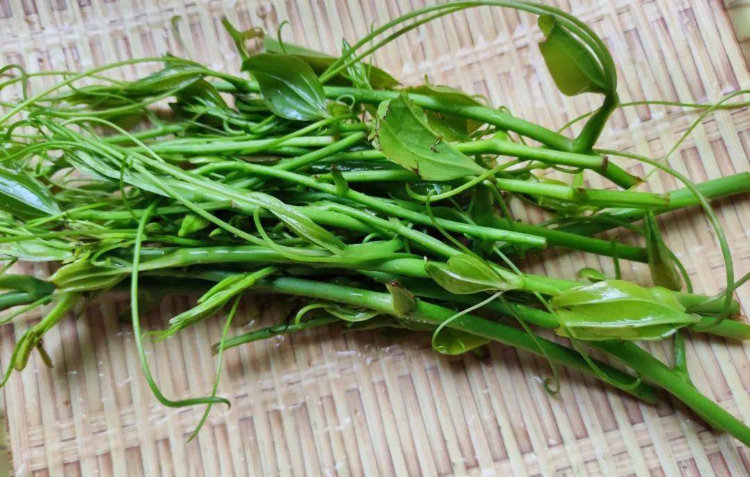 醋,鸡精,酱油准备食材:金刚藤炒腊肉清明前后,正是金刚藤冒出嫩芽的