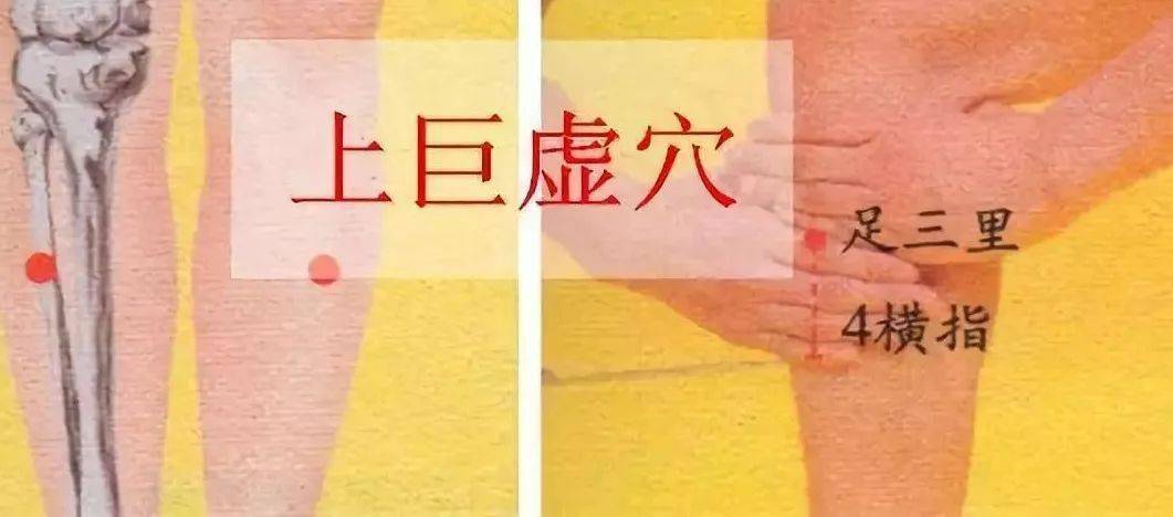 上巨虚:肠鸣、腹痛、泄泻、便秘_手机搜狐网