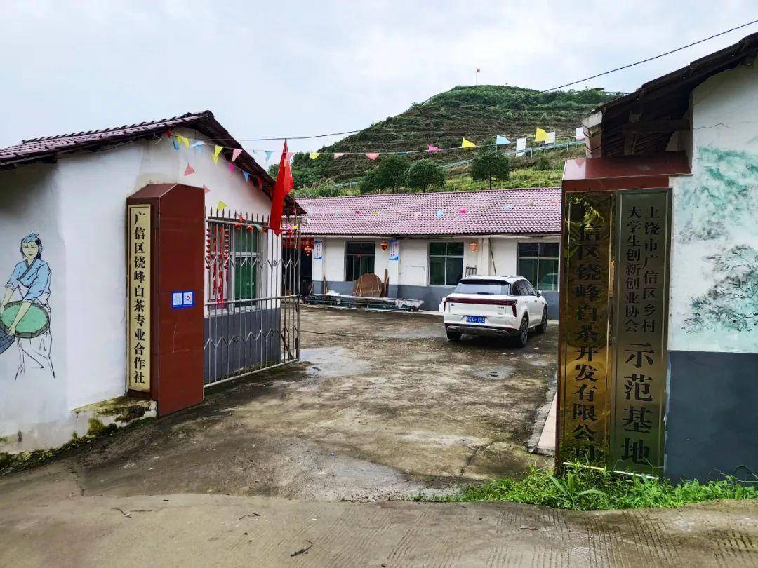 上饶周汉良:规划打造饶峰茶业农文旅综合体_茶叶_先生_花厅镇