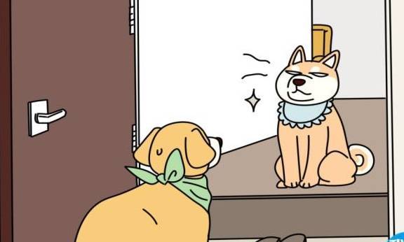 狗狗之间怎么样确立地位高低的?是看谁个头大,还是看年龄长?