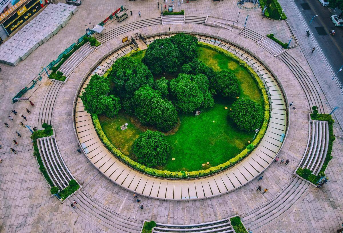 独一无二的挂绿荔枝母树,荣辱兴衰400多年,成就24.