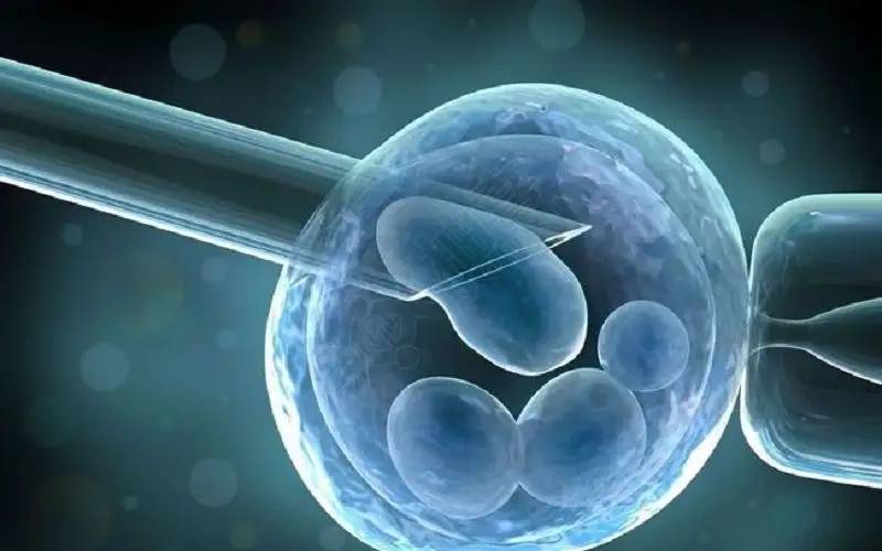 反应_患者_卵泡