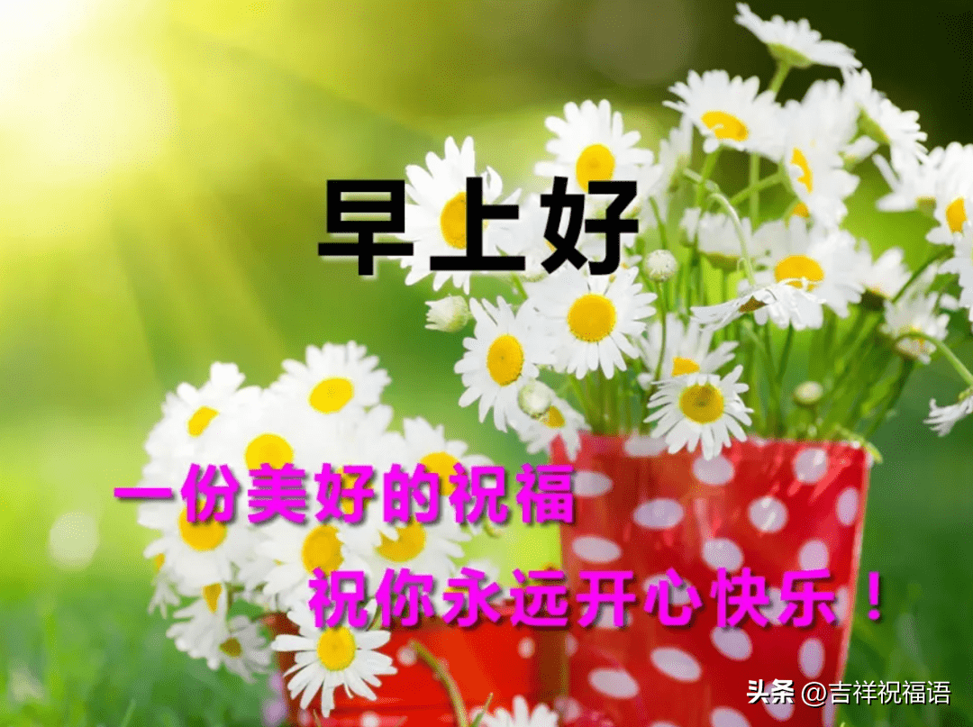 早上好表情包,祝願你一帆風順,一生幸福,健康與平安_朋友_安康_人生