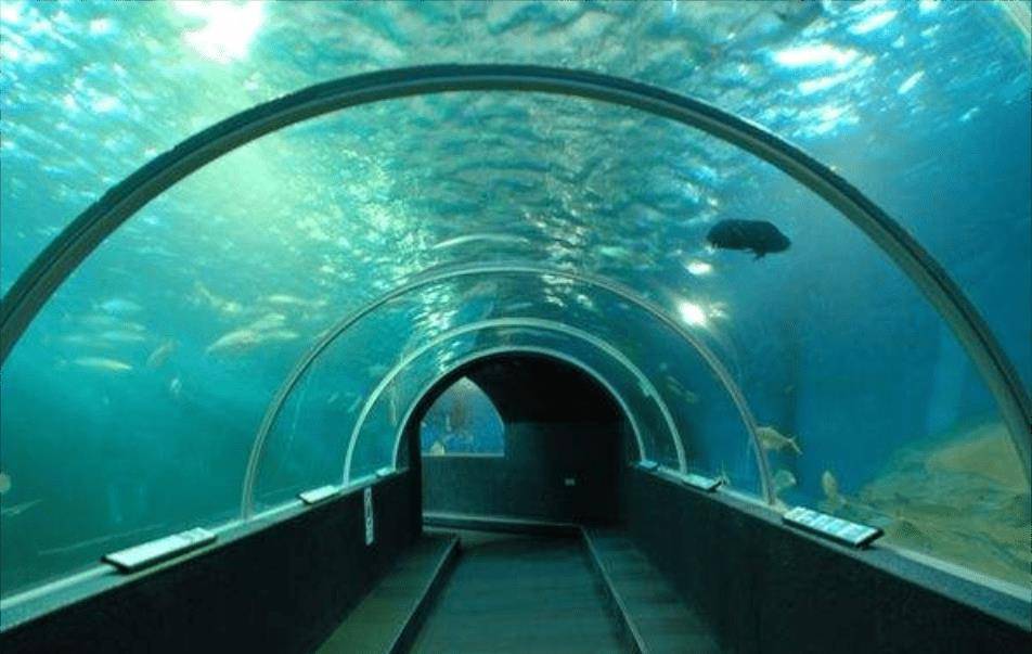 横琴海底隧道图片