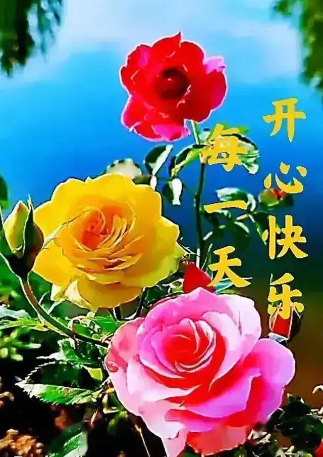 早安朋友,祝您开心快乐每一天_调整_心态_生活