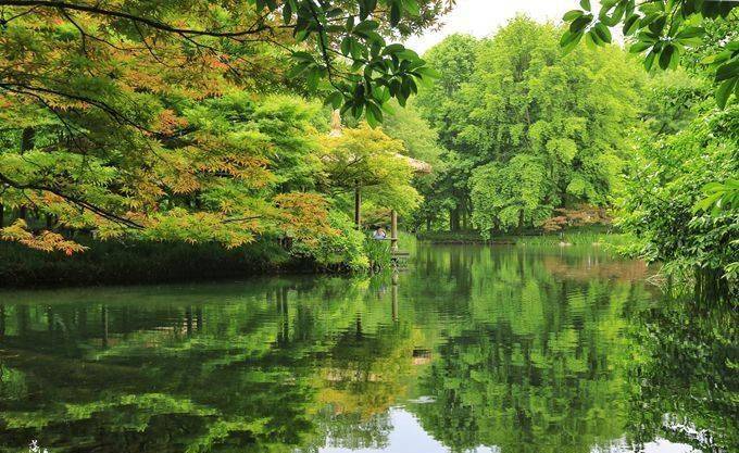 杭州这个公园霸占了西湖一半的美，充满田园风韵，游客还不多