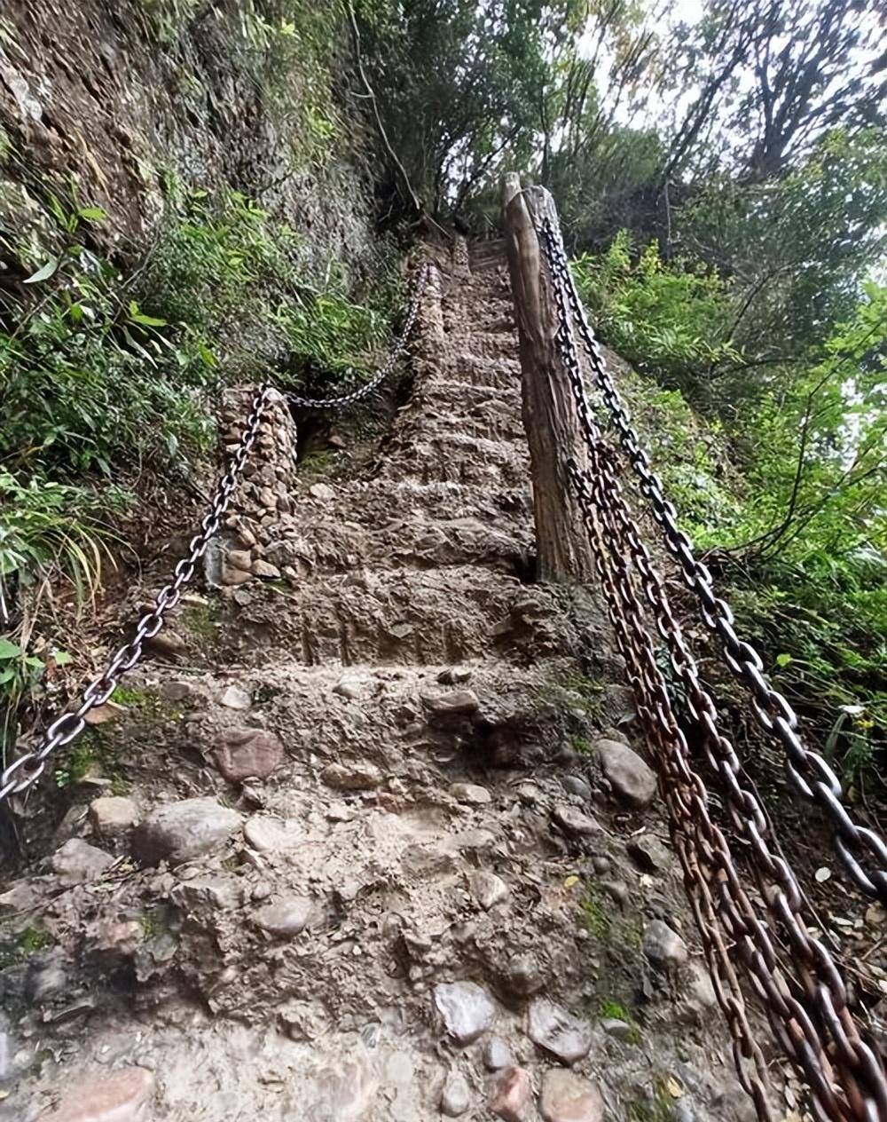 潛入渺無人煙的巴蜀大山,山內鳥蟲蛇獸遍地,大山無路,魏軍劈開樹草