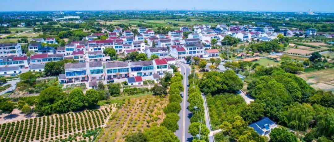 武进最美公路来了!_乡村_融合_雪堰镇