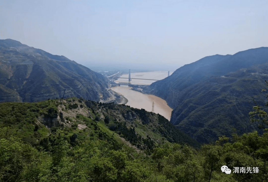 直通基层丨韩城市桑树坪镇杨家岭村:土地文章钱景好