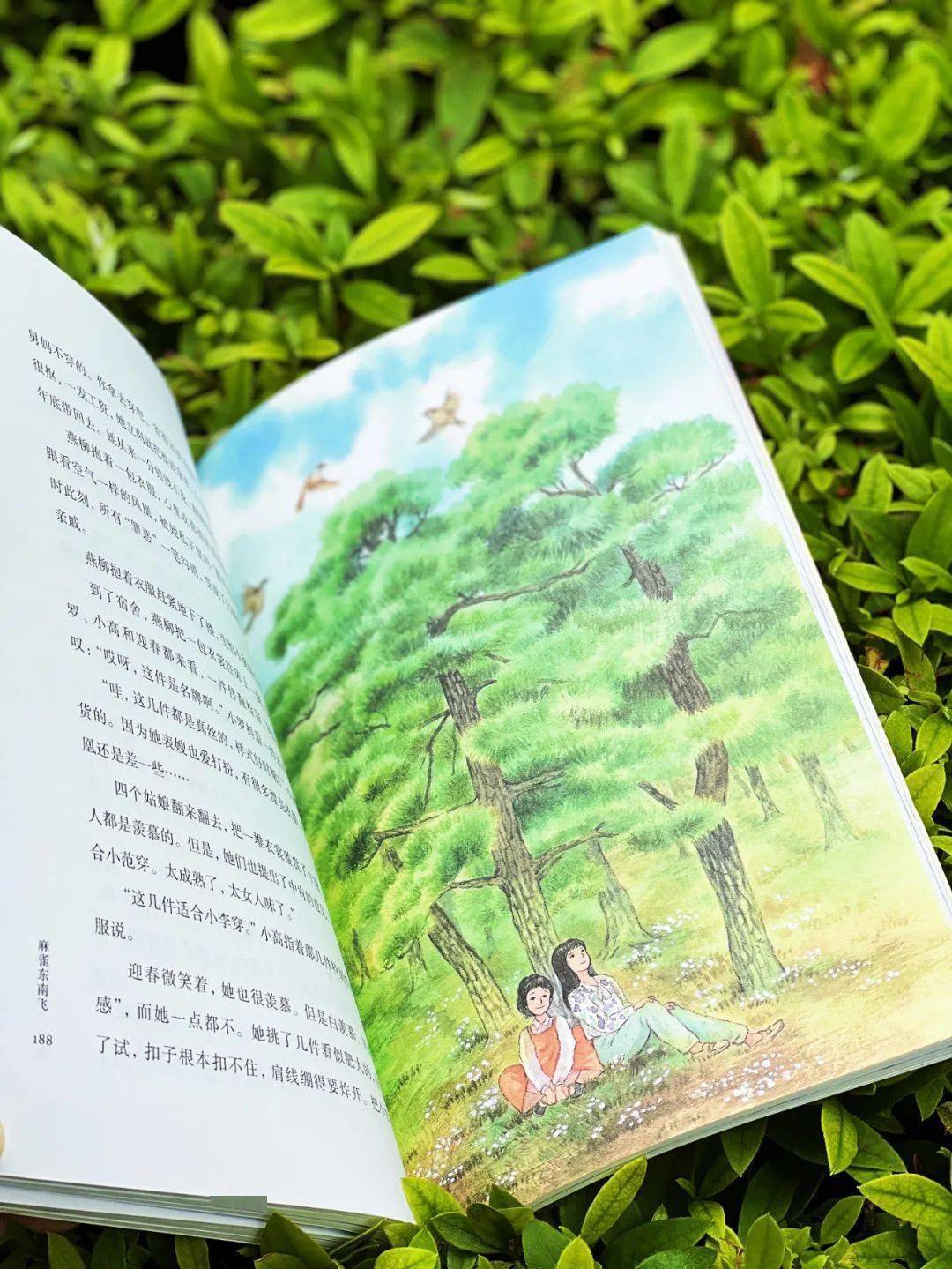 《麻雀东南飞》:浪漫理想与现实烟火_燕柳_小说_连城