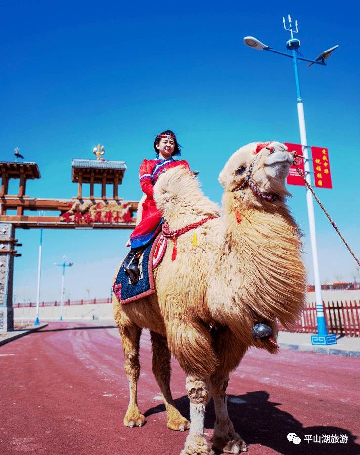 请查收这份来自平山湖大峡谷的旅行指南~_景区_观光车_行驶路线