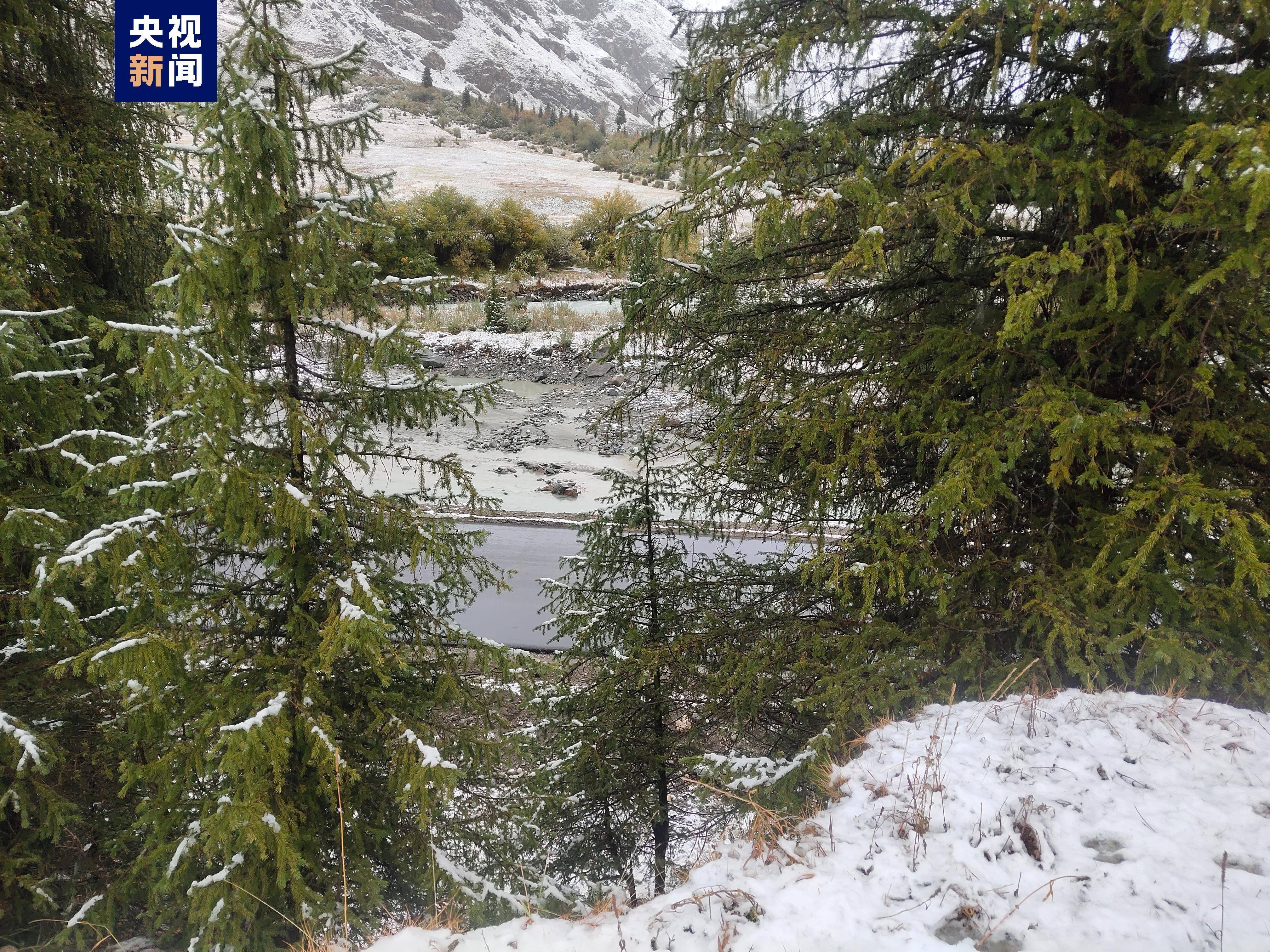 新疆昭苏：天山牧场迎来今年第一场秋雪