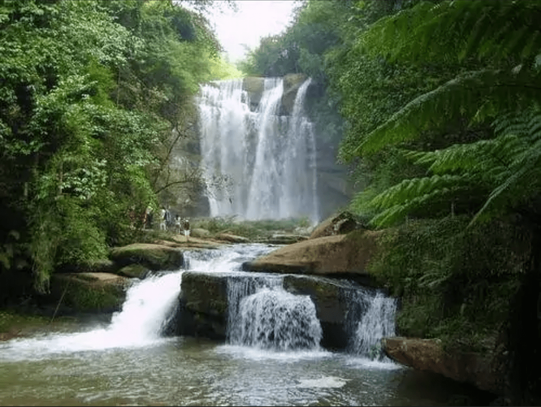 "龙潭瀑布",位于信阳浉河区浉河港乡,距离信阳市区25公里.