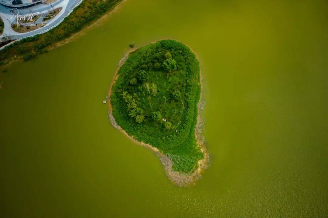 金沙湖公園素有杭州