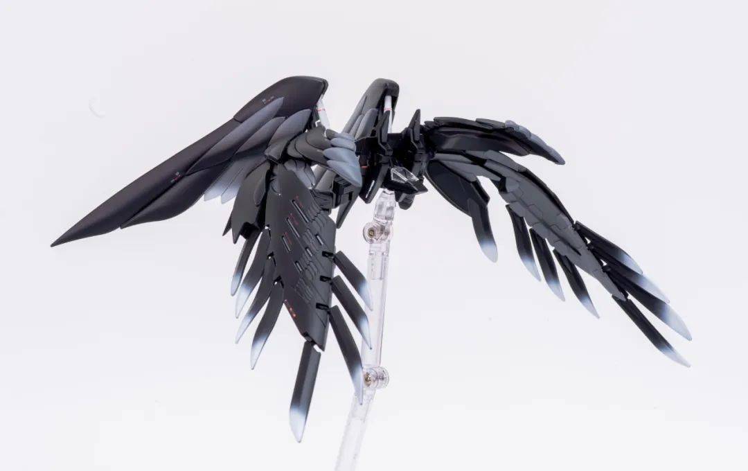 公众_来稿_裙甲