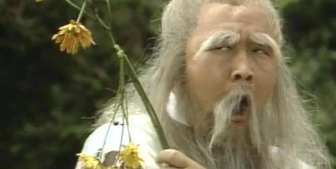 金庸《射雕英雄传》:老顽童的爱最动人,以一生作茧来自缚_王重阳_师兄_师哥