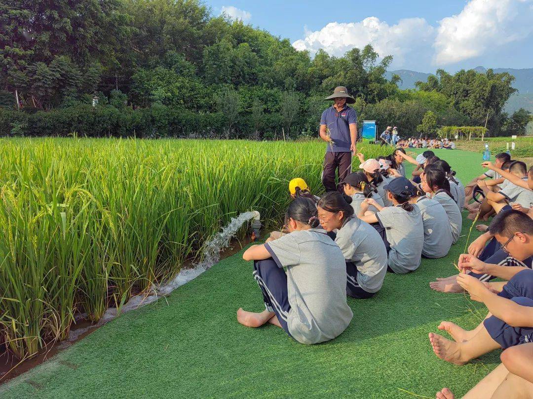 秋日踏歌行,实践引成长|我校八年级竹坝社会实践活动 ②