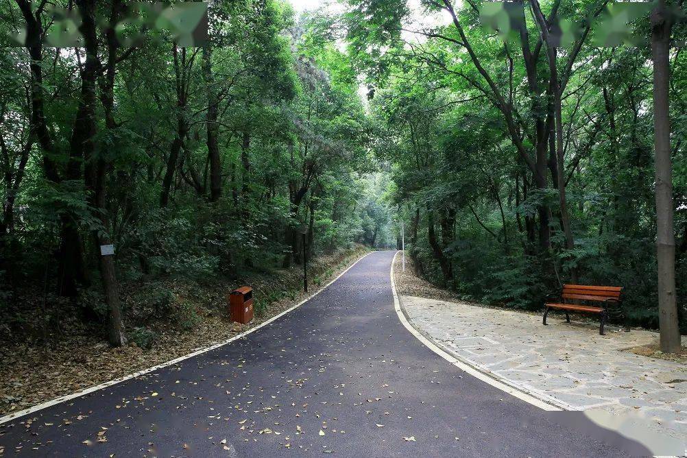 这十公里,我和你看遍华农的风景_试验田_图片_地点