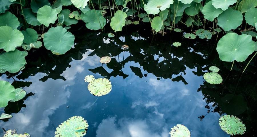 家电经销商：没什么比闲着可怕，没什么比卖货幸福！-家电圈官网