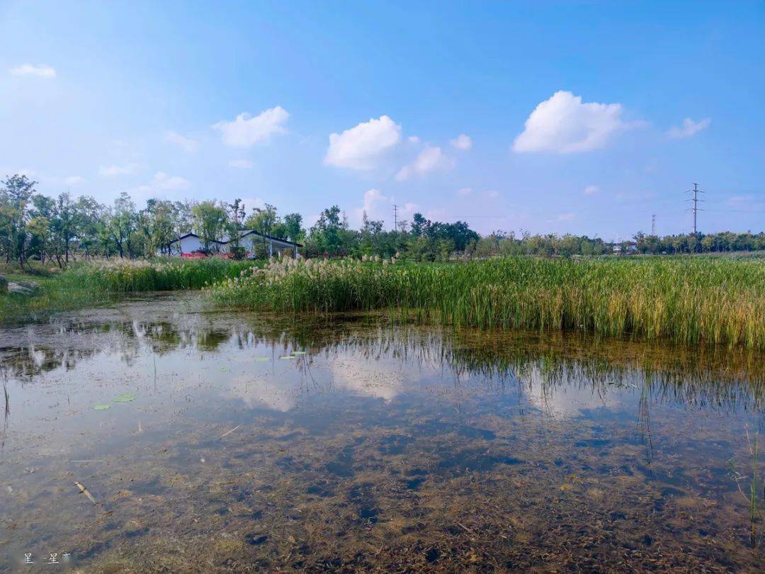 徐州桃花源湿地公园图片