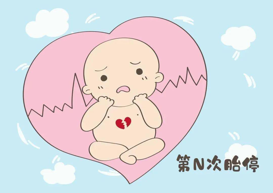 【科普】有胎芽,胎心还会胎停育?_胚胎_问题_宝宝