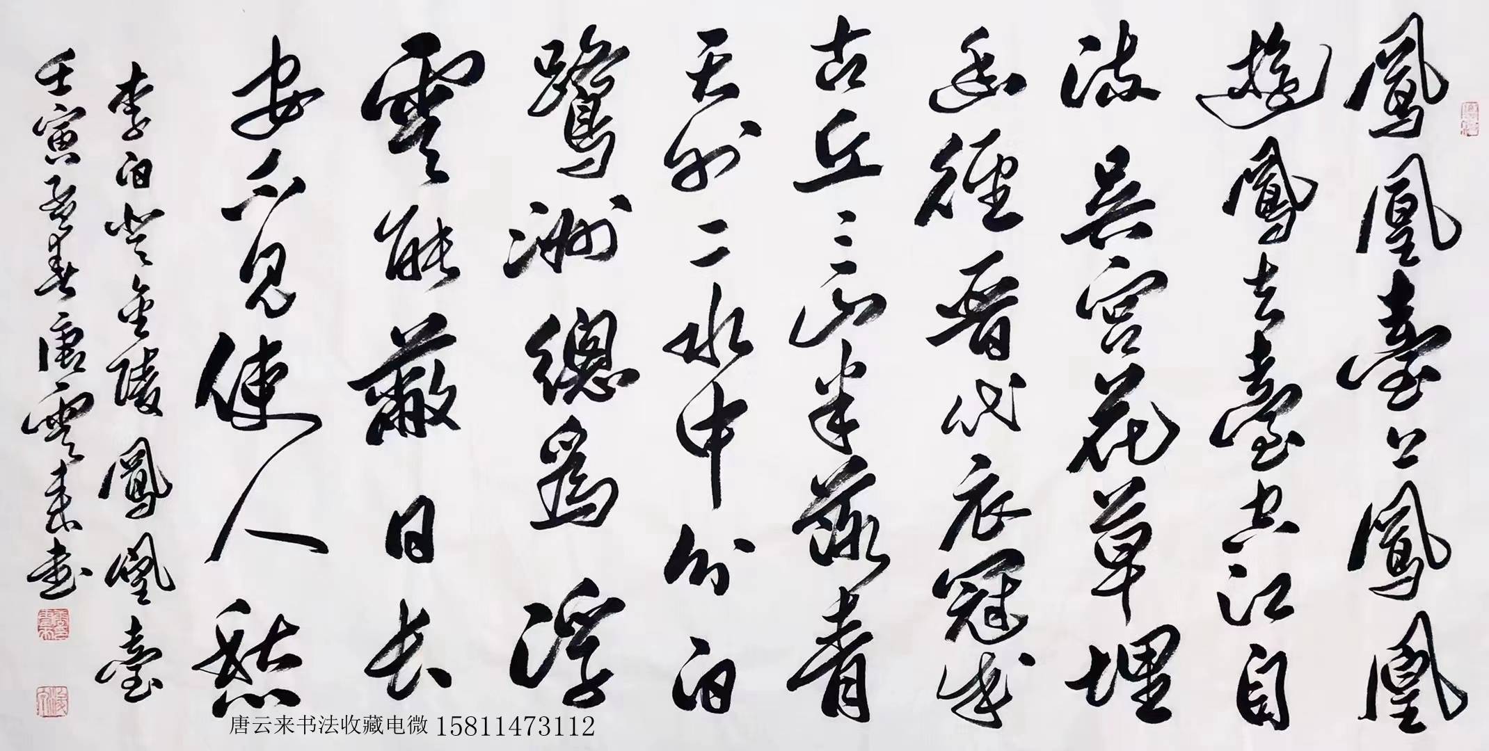 中国书法家协会理事——唐云来_中国书协_作品_全国