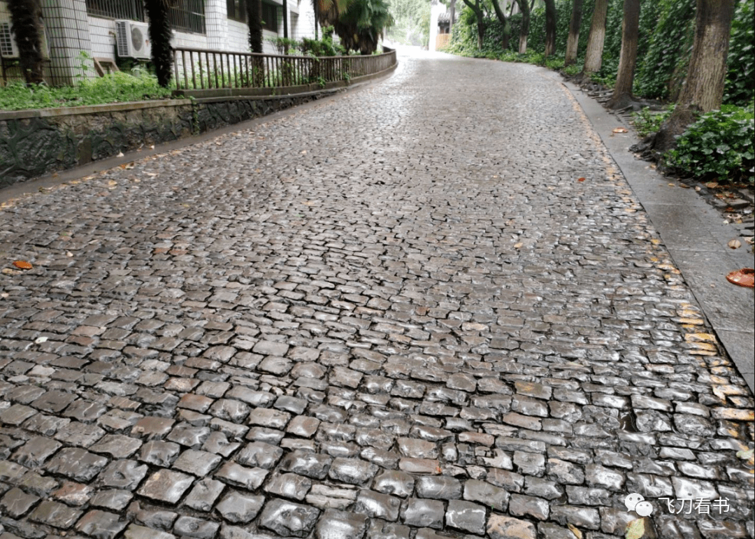 紫金山天文台路(尹引拍摄)弹石路现在已经非常少见,南京只有极个别
