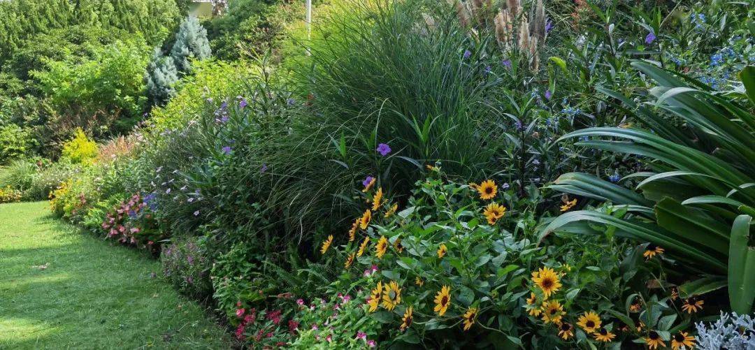 报名 第43期 杭州 花境师职业技能研修班 10月28日 11月3日 宿根 中国 园艺学