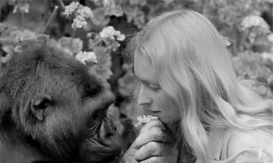 为制造半人半兽,苏联开展"人猿杂交"实验,5名女性自愿参加_伊万诺夫