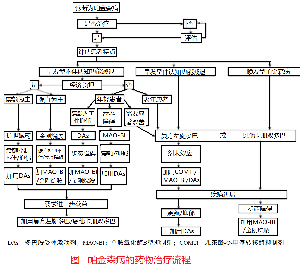 中国帕金森病治疗指南(第四版,2020)_药物_疾病_患者