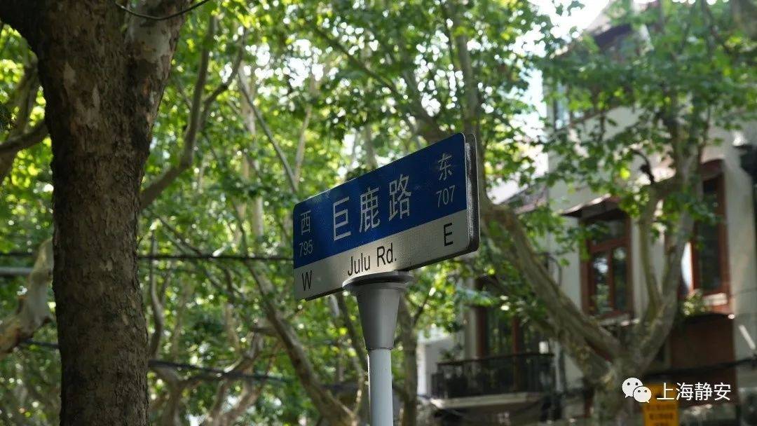 走遍静安市级林荫道——巨鹿路、富民路：林荫下的上海时尚名片