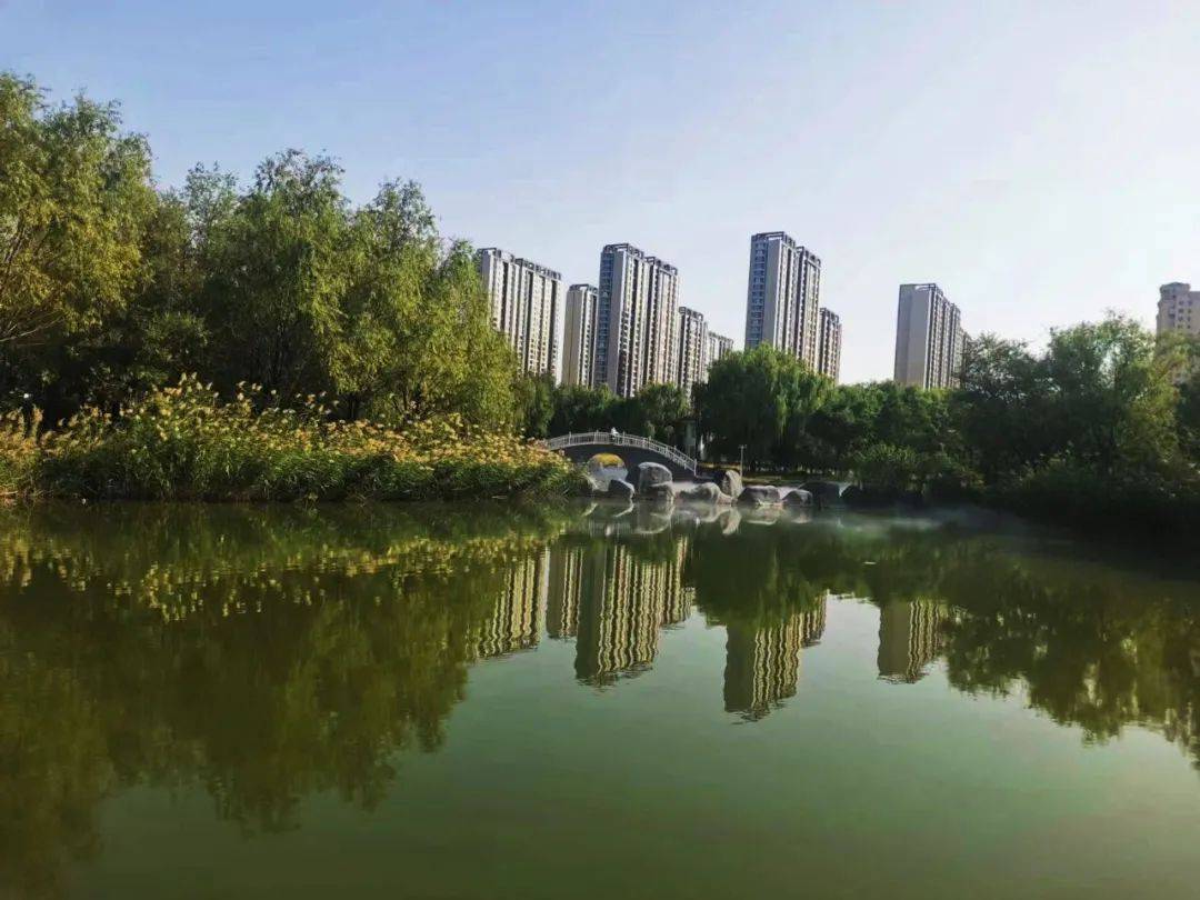 太美了！青城这个公园如“仙境”一般…