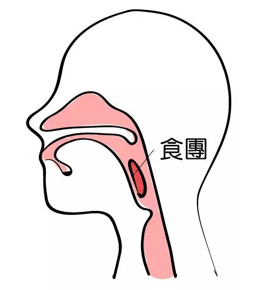 唾液腺简笔画图片