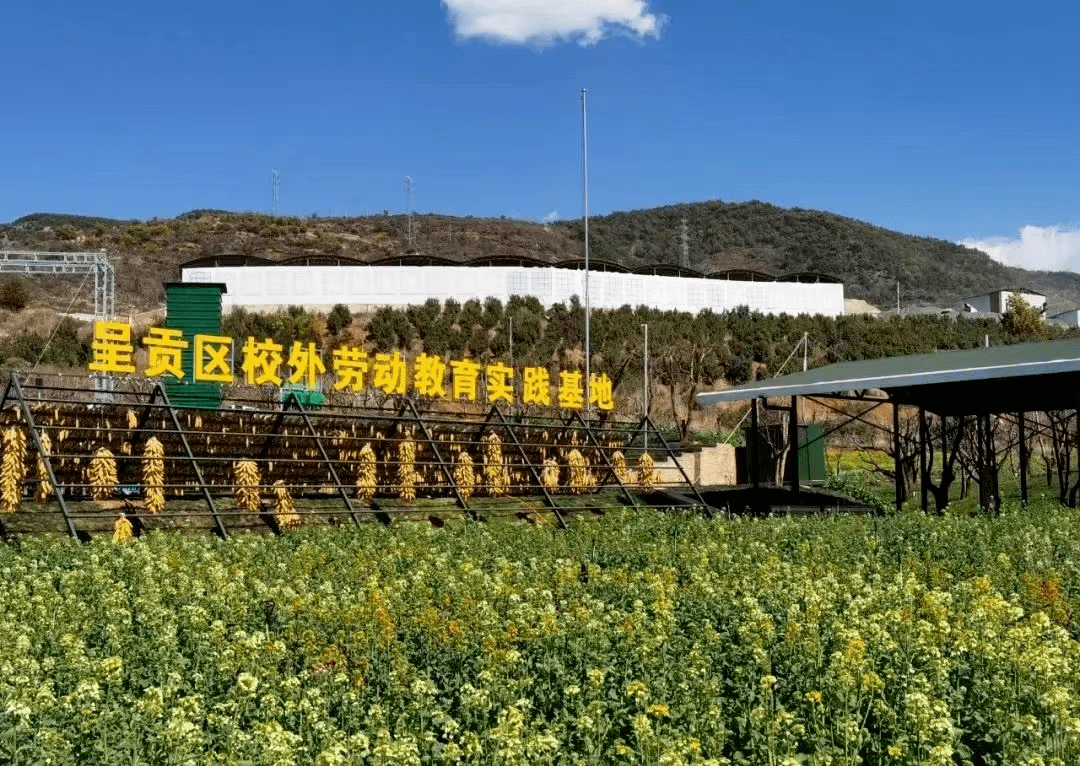 振兴乡村 呈贡吴家营街道"打了一手好牌"_促进社区_发展_种植