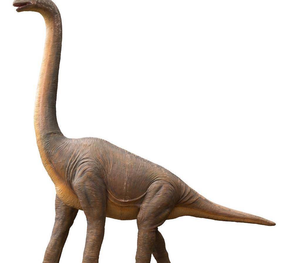 中生代的食草恐龙巨怪:侏罗纪时代的霸主统治者
