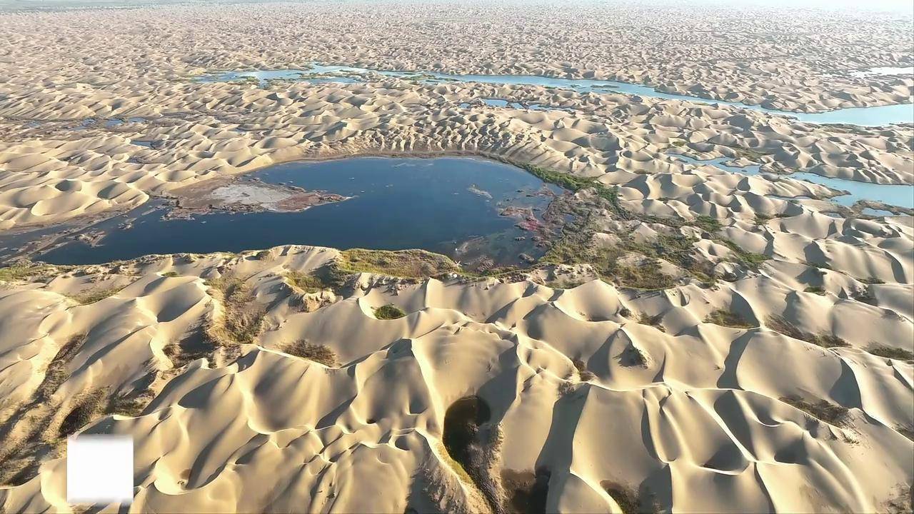 航拍新疆塔里木河穿过胡杨林:绿色走廊与沙漠映照斑斓如画