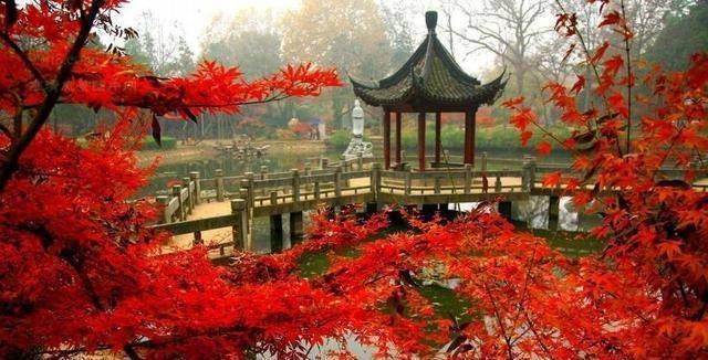 南京有一的赏红叶圣地，一到地儿就美到了，藏着南京最美的秋天！