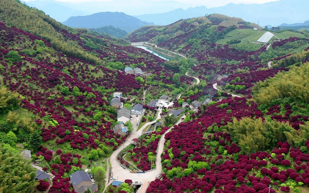 餘姚市泗門鎮鎮北村慈溪市掌起鎮陳家村寧海縣力洋鎮力洋孔村象山縣