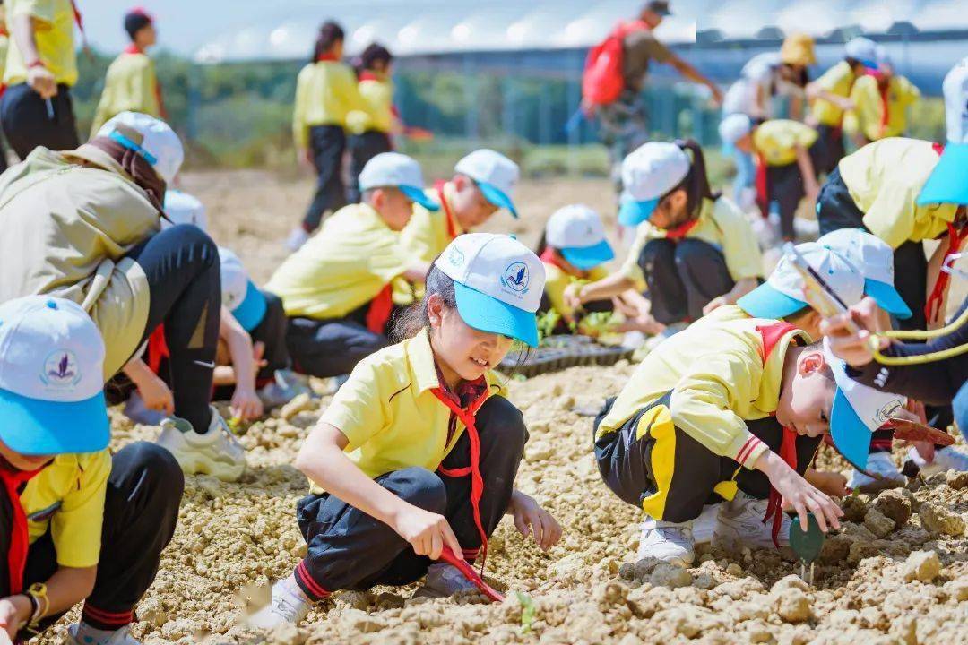 这批校外基地等你来 | 行走的课堂③_教育_种植_农业