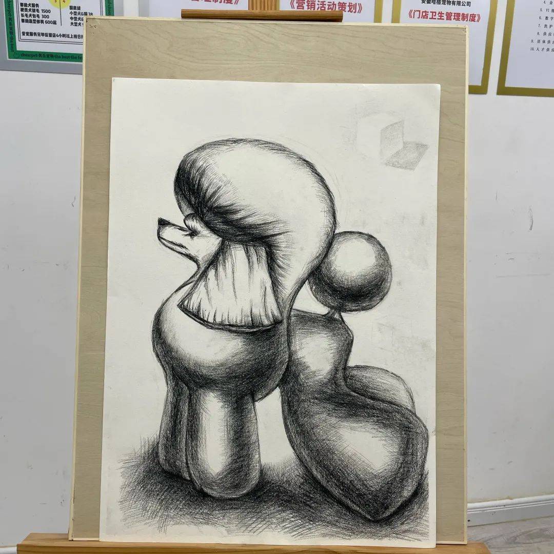 宠物店的比熊犬造型是怎么修剪出来的?_直播_萌系_美容