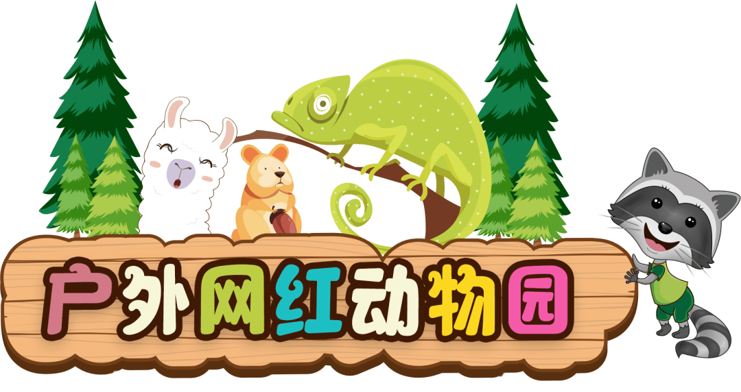 【1038】终于定了!怀化将迎大型户外动物公园 ,10月1日起门票免费送