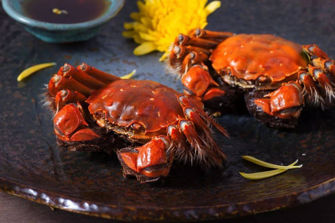 没有大闸蟹,怎能过好这个秋天?_蟹黄_美酒_阳澄湖