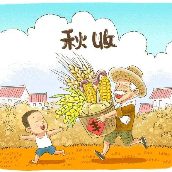 秋分到,丰收忙!田间防火莫松懈_时许_农户_时节