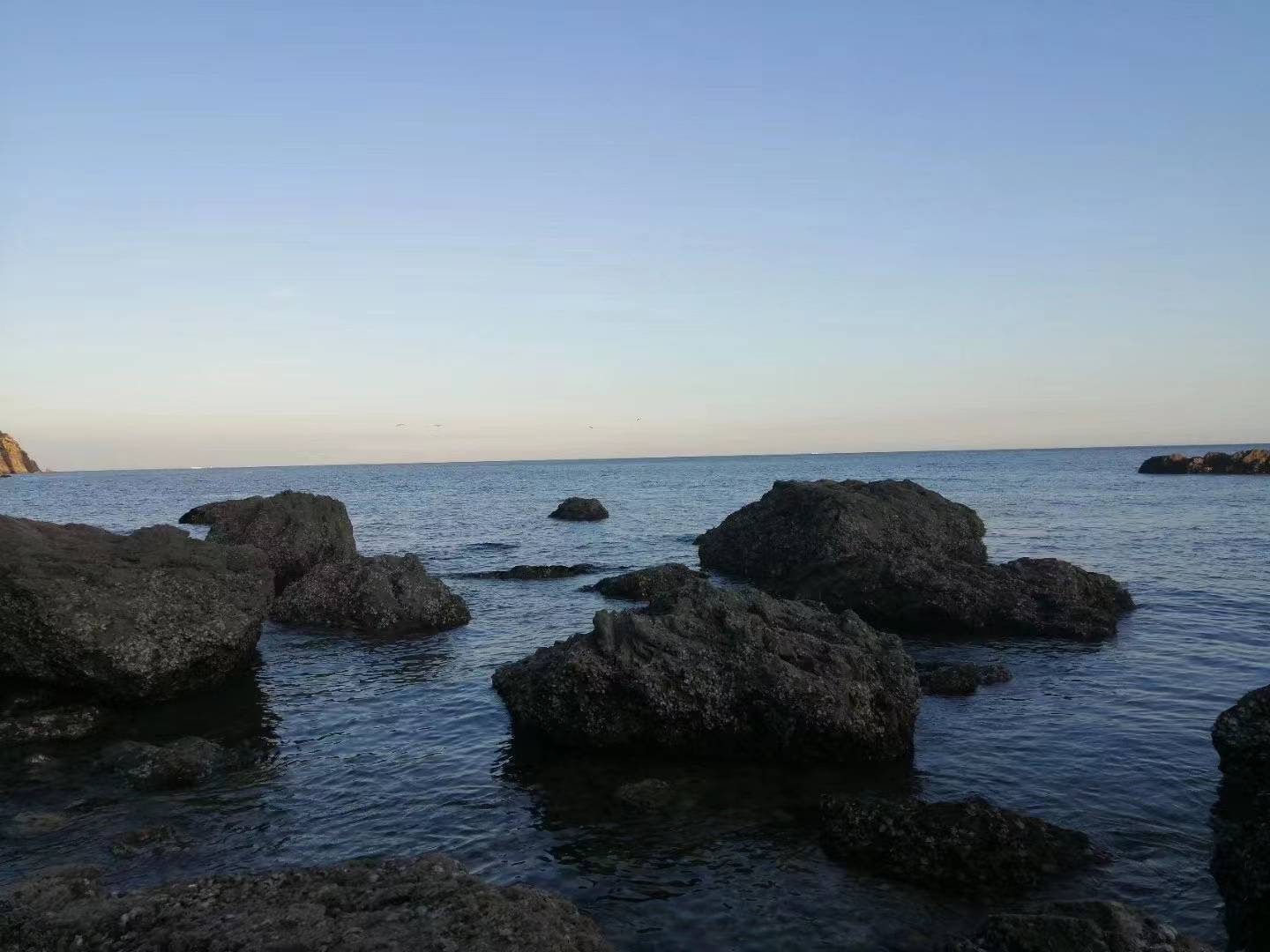 今天9月24日生肖运势大吉 财气也是一等一的好 属猪 运气 宫有