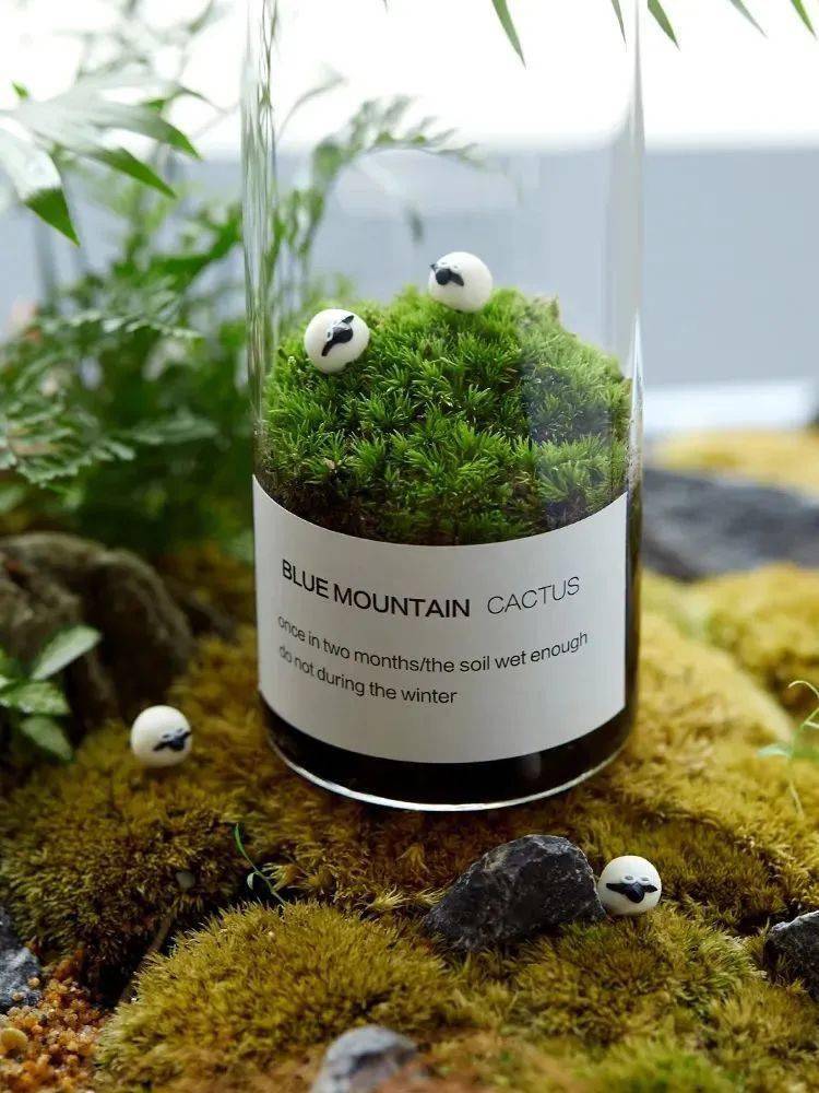 山野溯无痕徒步,昆虫博物观察,植物叶片收集