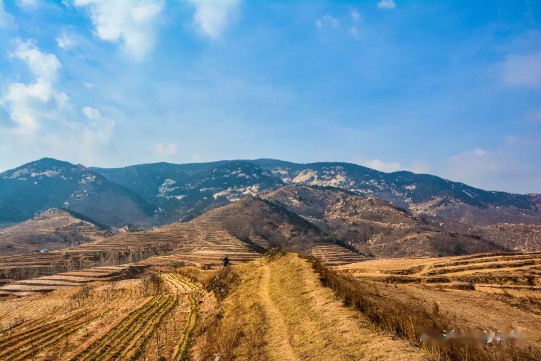 秋收好"丰"景,一场别样的丰收盛会在沂水沙沟镇举行!